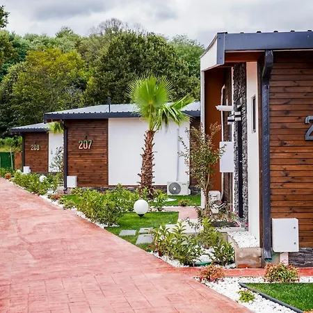 Holiday home Look